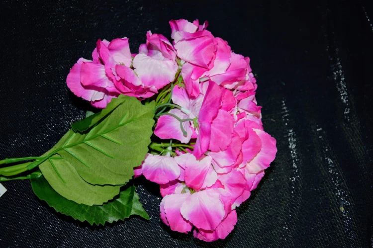 c6609b601278c15c7ad1904260b7f9a8