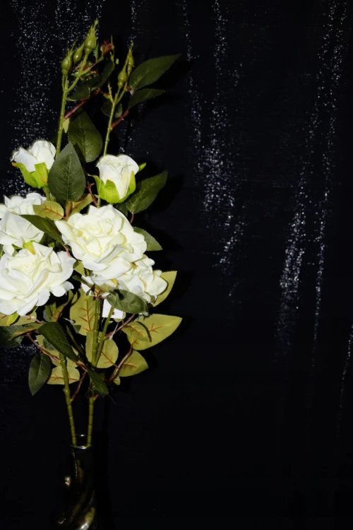 34212767b7aa6f990f91d3de46bb0649