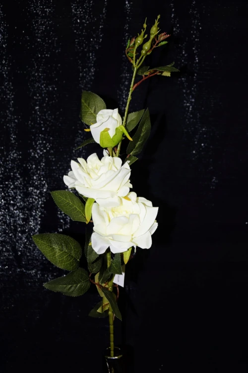 ade89b808f0e904d0327632a2b4f4b8d