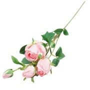 2a4c4b7c6e81b8ea6393dad8bc312529