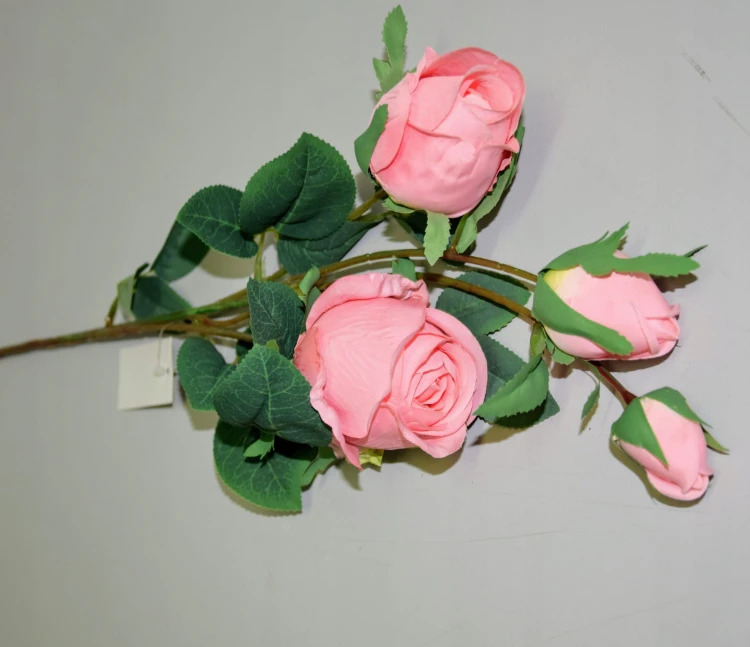 54ed6694d86b384f4bd8f5b35b621c1d