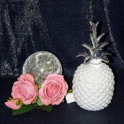 cf21fa78e0673d1125c17bee26e00ea7