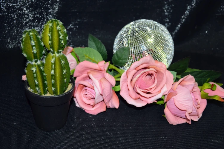 f8ae604168ae7bef7e172d6846ca5813