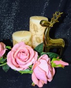 d452c7814ea7951c39701c796c5a0874