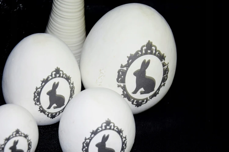 aa569ad531fcc29a160303a381ef7077