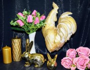 edcd06f905d468090b5abf2aef261e68