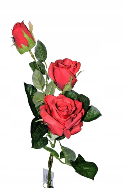 9d210aa164924636c62808ba0fd66637