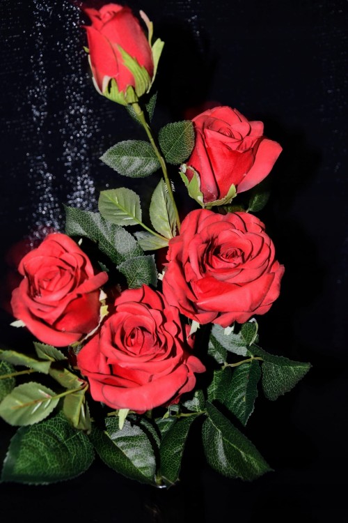 bfb1816a91fe55c6334f9f12454e49c7