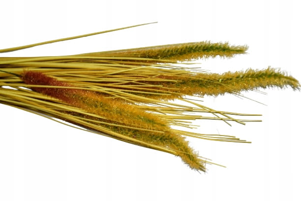 760b814f96232a1cc4e321ddb0f6da20