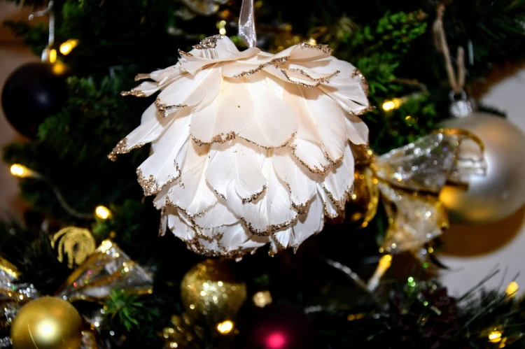 bc98d52dabc585510af1ea3d2a70ff8c