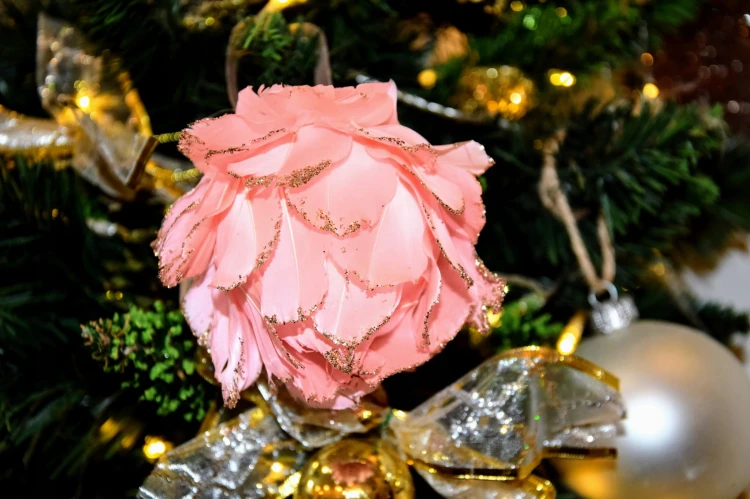 1c0d7f4d834a834fca38e782fcc8e74c