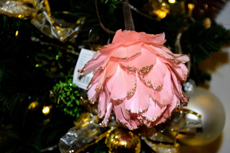 074ee1ea27c0de3be4511f88fa648dea