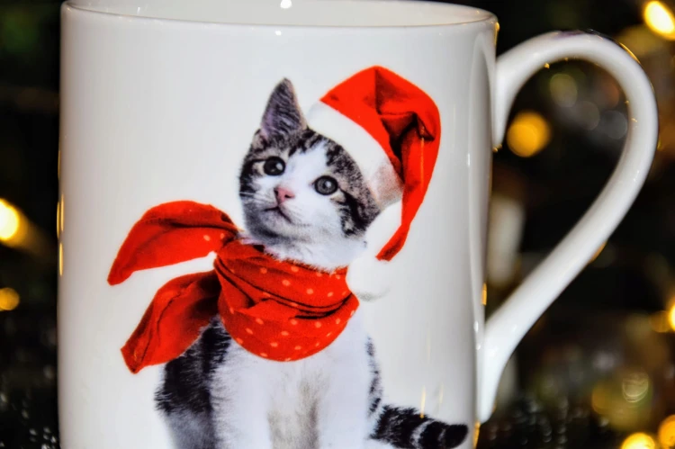 de1ae7195393a0f384766068274ddc35