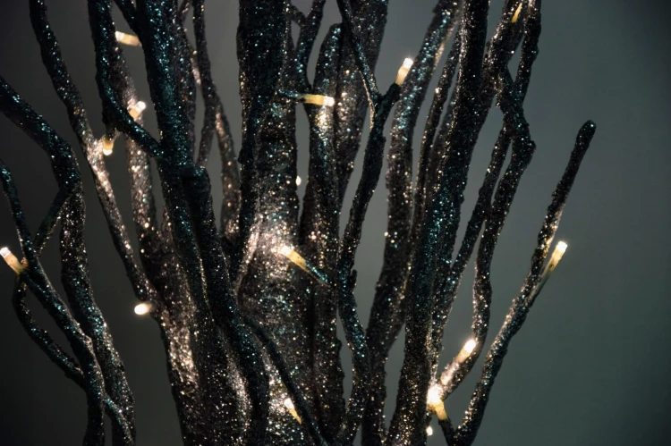 f2285a73d5341a637a194191110d69fe