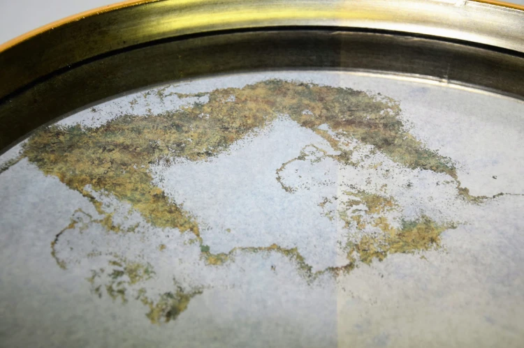 945644f5c2538ea3a6d75e7c5d475210