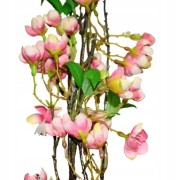 95e4c900e978d7828cc7852da5357496