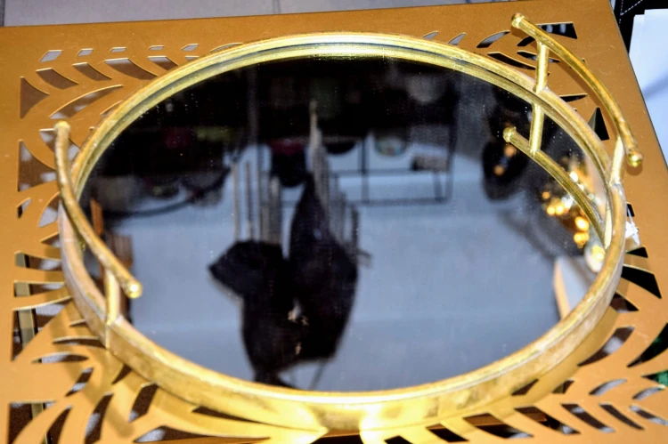 9cb7172e893a60561d44ca3a499d9a0c