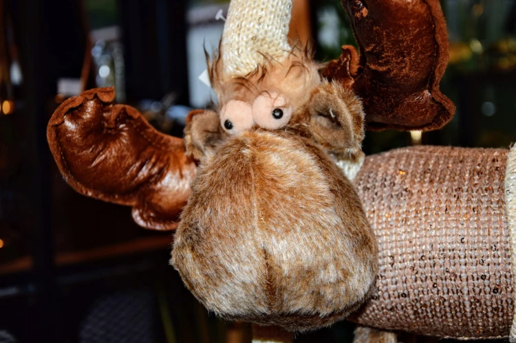 79b6df1ccacabf5b3c9dc689dc4f9490