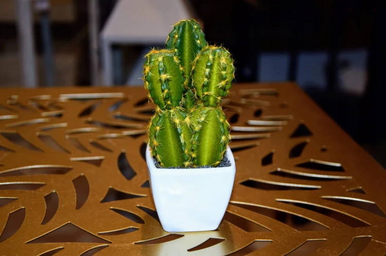 bd7031daa790b7417320b9a4a81308c6