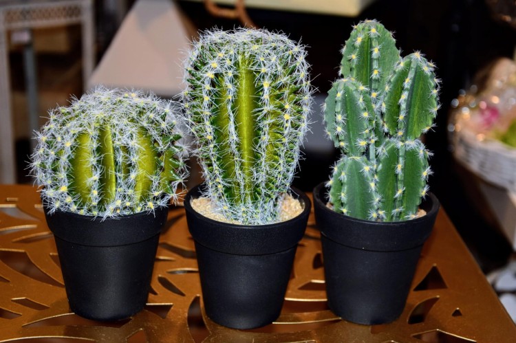 8da72bc9c57ef14b7894413d2f9d5a34