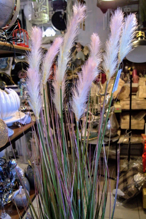 80b9cb7eb25160368b86f2681b903b78