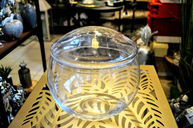 6fac7600bc0a4018ae90844aba4453c5