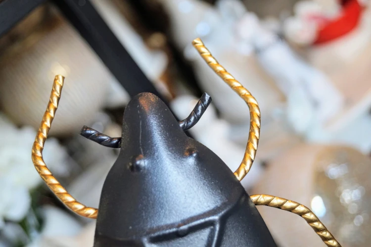 137252ebc73e7077f4e65dded13b0f6d