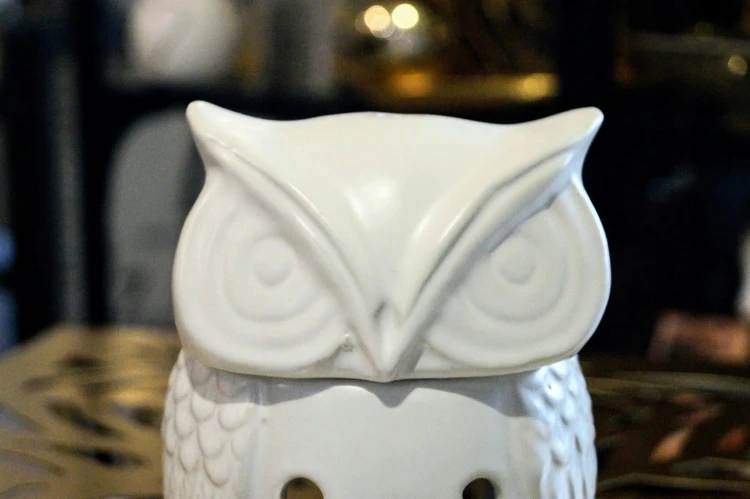 ca77620f507c506f2992762835e7c557