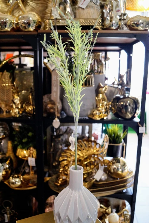 f443903cda97d4027a1fa1318814874c