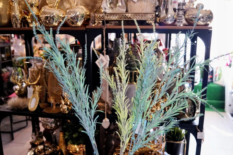 537fa4c1b8f1fc5bcc0f7b606e11bbb9