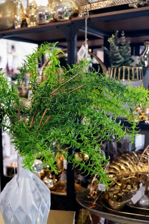 b4d5704865a1c20282e132596e5b2fa0