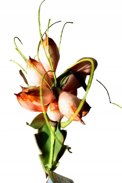 0b17f9ce85bcd6b231d6c64b434747c6