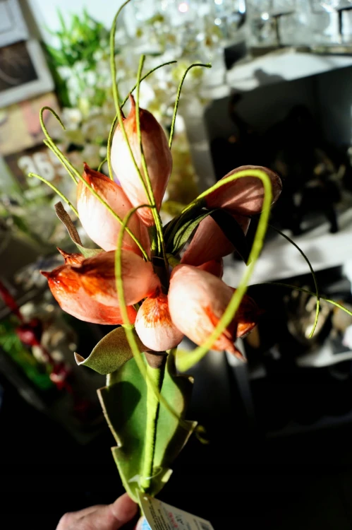 fbcdd70b2eabcd37a92ebd81eb44f89a