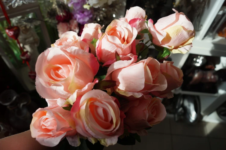 b4fc0279778b69027d68c7342a75e935