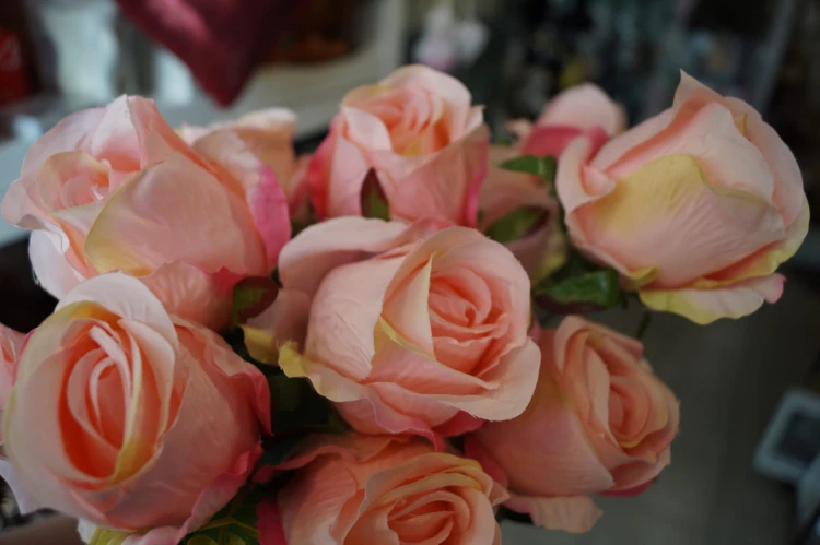 52e7dffa13a2c17aeac5f8512365d9ba