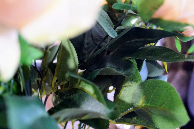 051a992afb7568f9ea2b43e4f6abcf1d