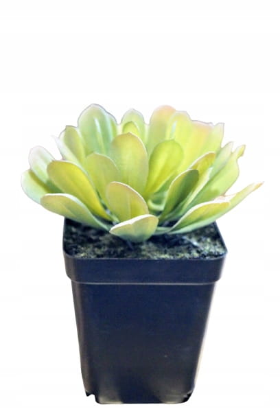 b549a49d5bdf0d0a714921dbb571f755