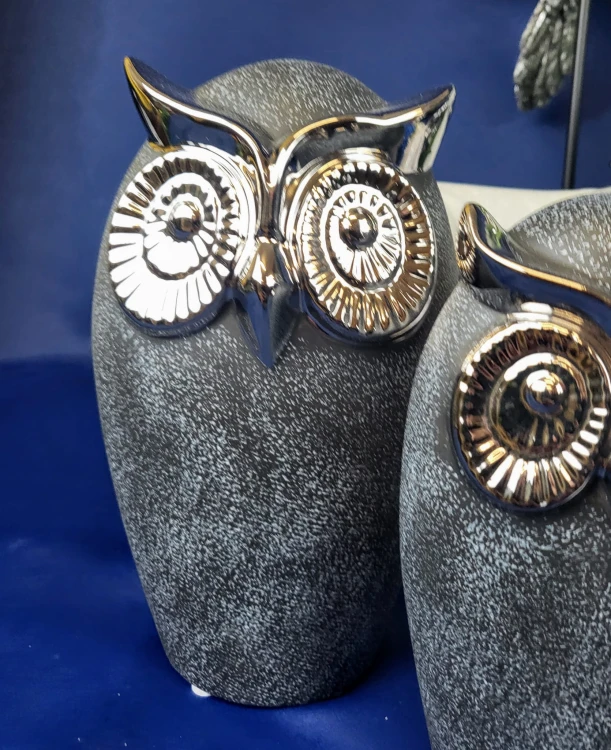 0dedbb35d58ba523b6ffe32b9c31f9cf