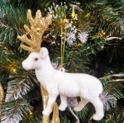 294e3d5a0569d76923f71b35ace0d69d