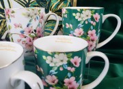 8a953012746d1b32ffa4800ad60426f3