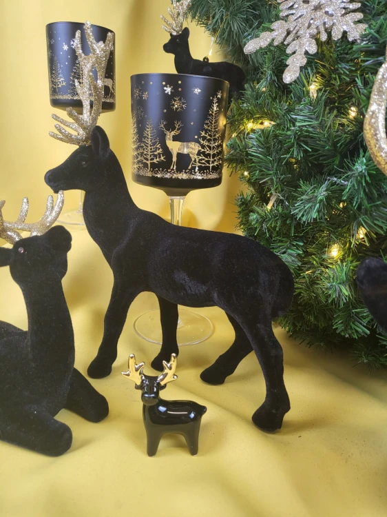 09d56743b6318617e5de3a0a8d3337d0