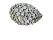 a22b76e0078c2bee322b04b7999ce2cd