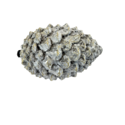 0617ebc2da241aeb653646ec4e6eaa61