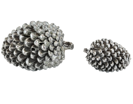 7994824505d7b3dd1cb992cb40d61791