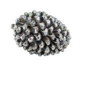 099afd9a32c5802fa09e74632dacaac5