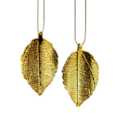 ec0507973e1dc8b72ff6fe15c02ec43c