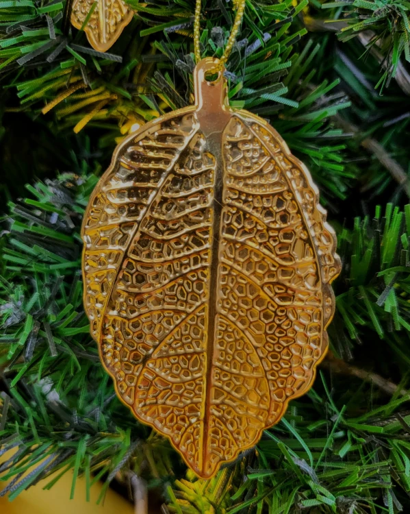 ab8b63edc3963aa17a471c1f53878752