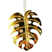 2655ae32427485aa1d1c50d8665d79a3