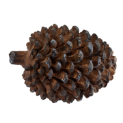 15c7c0f781d58d93714c12df762f6fd3