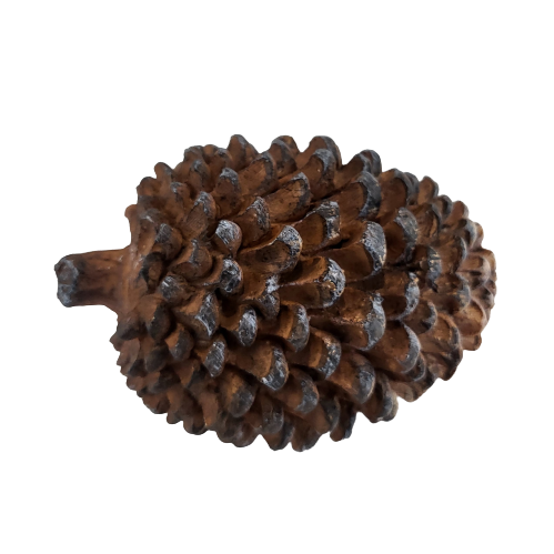 4332ff3ef7a433011ffec540b371338d